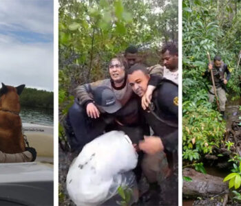 Desaparecida há 48 horas, turista é encontrada com ajuda de cães na Ilha de Boipeba