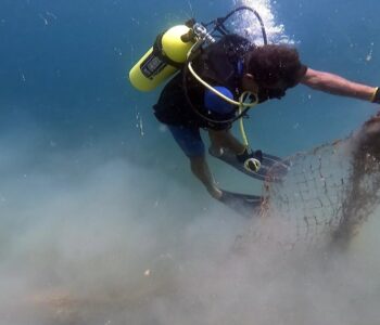 Projeto Mares realizou ação de limpeza submarina em Itaparica