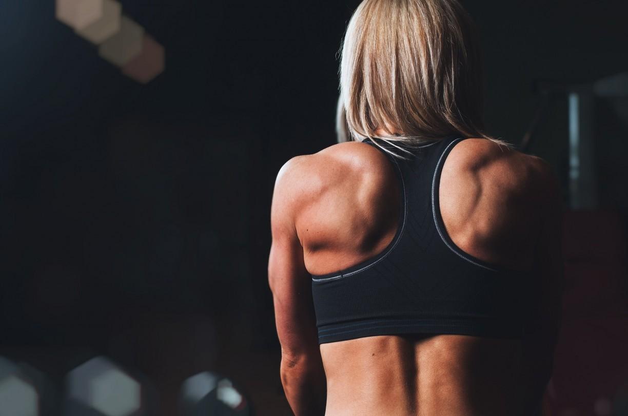 No momento você está vendo Memória muscular: estudos mostram quanto tempo o nosso corpo leva para “esquecer” o treino
