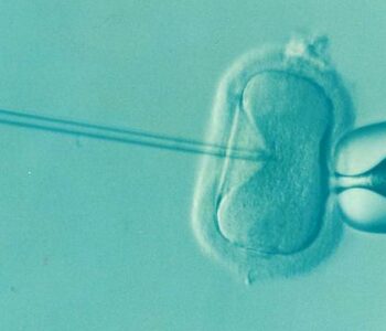 Especialista esclarece mitos e verdades sobre a infertilidade