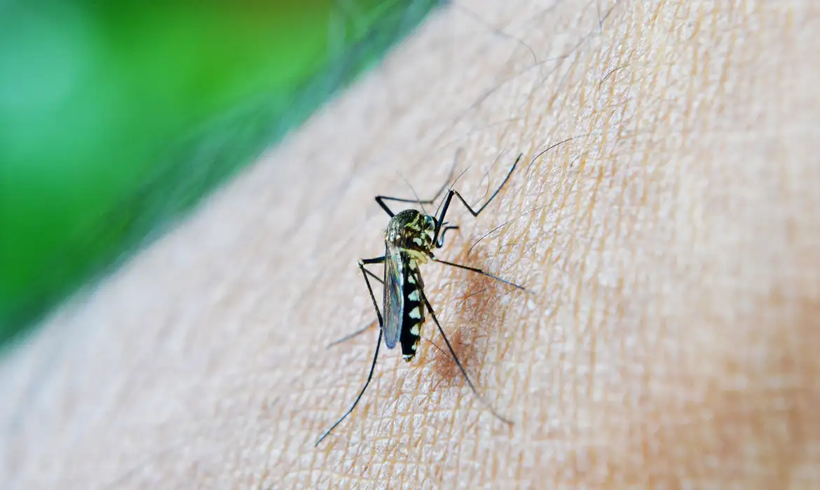 No momento você está vendo Acaba a epidemia de dengue em Salvador
