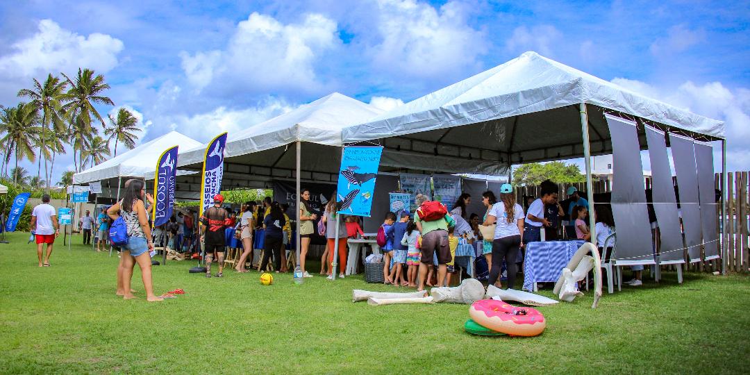 No momento você está vendo Ilhéus celebra a III edição do Evento de Abertura da Temporada das Baleias