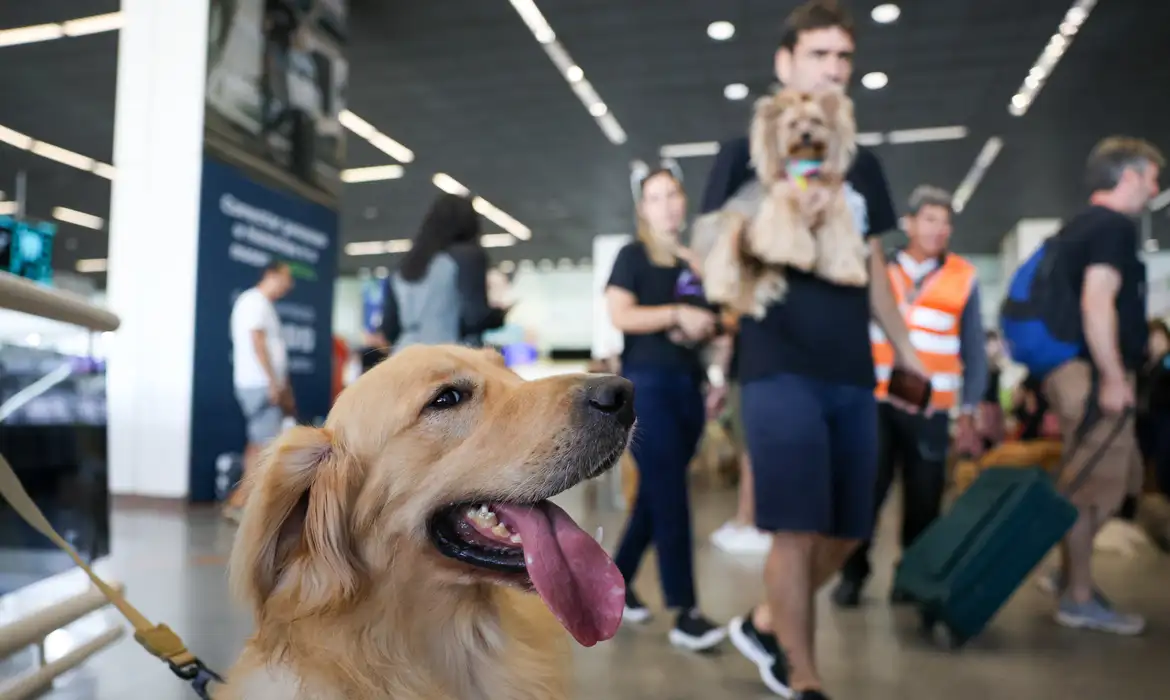 No momento você está vendo Convívio com animais traz benefícios à saúde física e mental do tutor