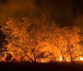 Fumaça de queimadas na Amazônia e no Pantanal chega a dez estados