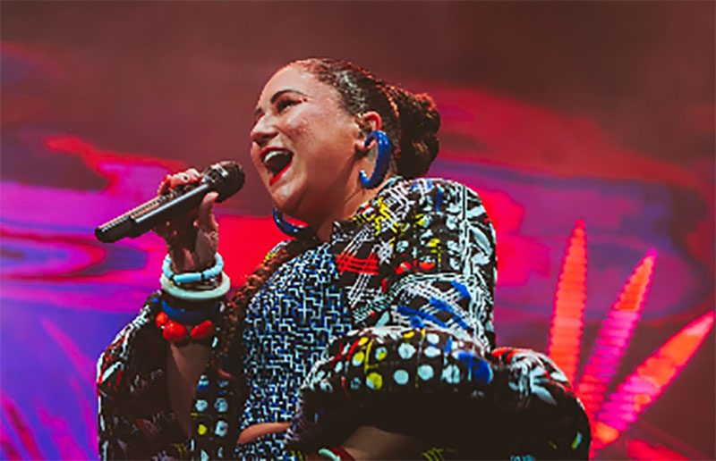 No momento você está vendo Cantora Maria Rita relata roubo de caminhão com instrumentos