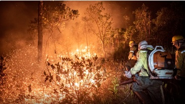 No momento você está vendo Manejo com fogo, contrafogo e queimada – entenda a diferença