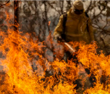 Entenda as linhas de investigação dos incêndios florestais no país