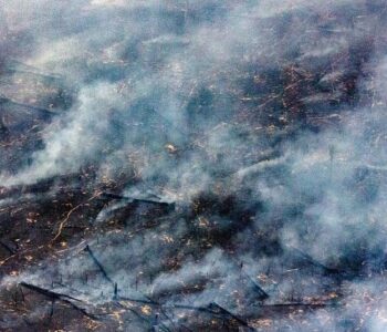 AGU cobra R$ 89 milhões de acusados de causar queimadas na Amazônia