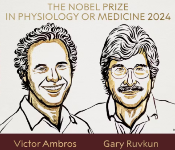 Nobel de Medicina 2024 vai para Victor Ambros e Gary Ruvkun pela descoberta dos microRNAs