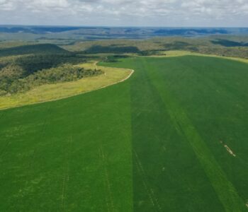 Projeto jornalístico aponta caminhos para equilíbrio entre o agronegócio, conservação e justiça socioambiental