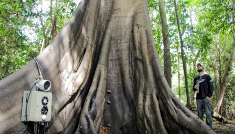 No momento você está vendo Tecnologias monitoram biodiversidade, árvores e ar da Amazônia