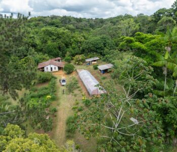 Reserva Espinita faz a proteção de cerca de 500 espécies de fauna e da flora