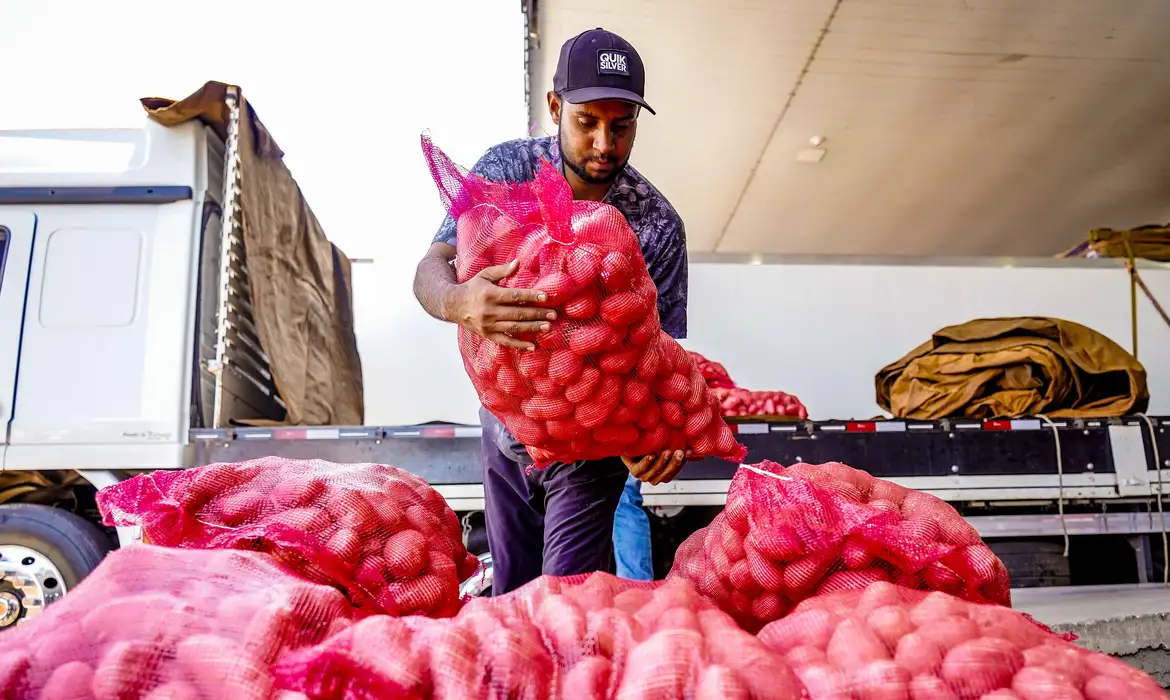 No momento você está vendo Conab aponta queda de preço da batata e alta da cebola e tomate