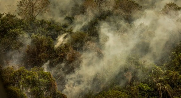 No momento você está vendo Crise climática pode provocar nova extinção em massa, diz pesquisador