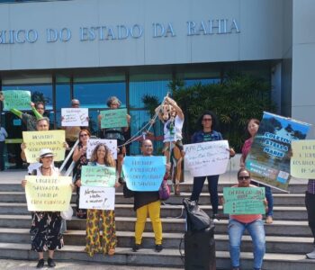 Ambientalistas protestam contra desmatamento de Mata Atlântica em São Rafael