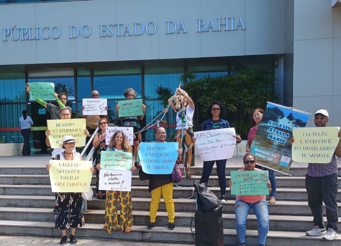 No momento você está vendo Ambientalistas protestam contra desmatamento de Mata Atlântica em São Rafael