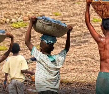 Mais de 6 mil crianças são resgatadas do trabalho infantil em 2 anos