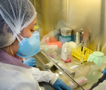USP: pesquisa de vacina contra zika avança em testes com camundongos