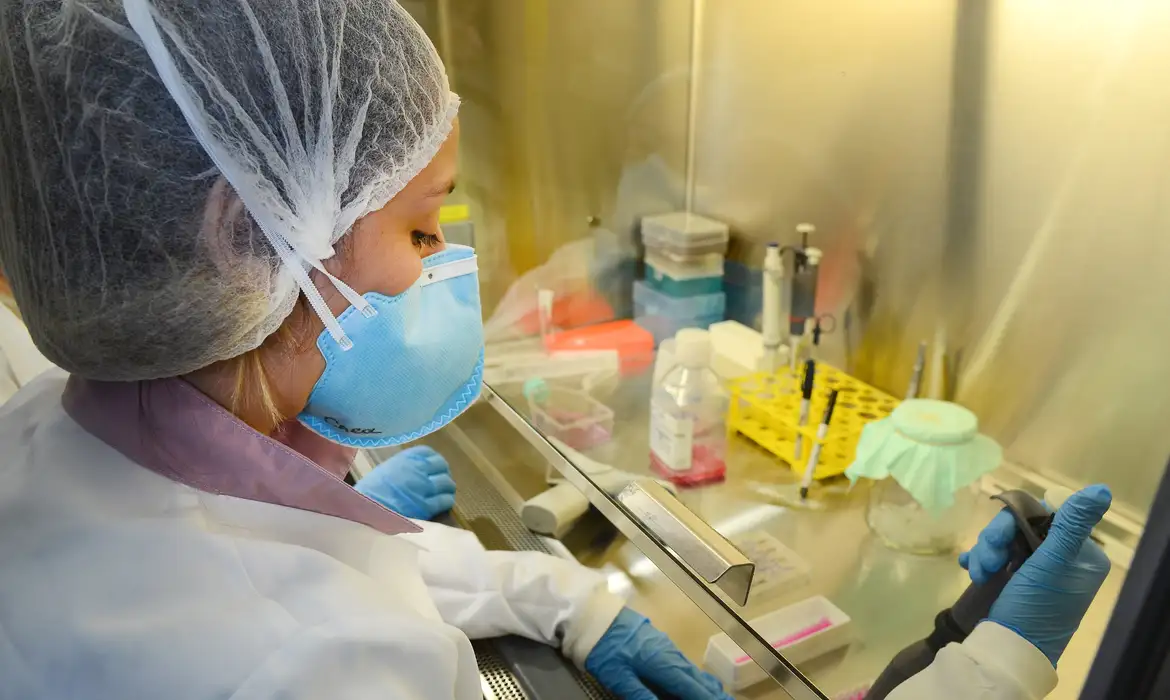 No momento você está vendo USP: pesquisa de vacina contra zika avança em testes com camundongos