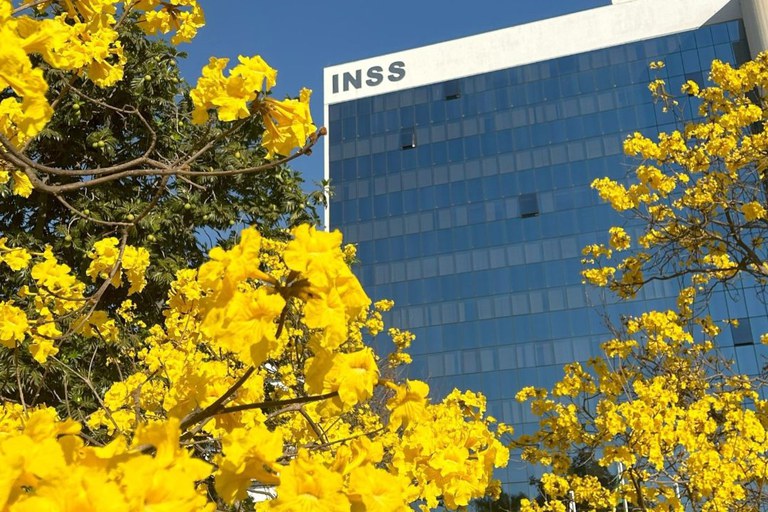 No momento você está vendo Mais de 55 mil aposentados e pensionistas na Bahia já aderiram ao acordo de ressarcimento do INSS