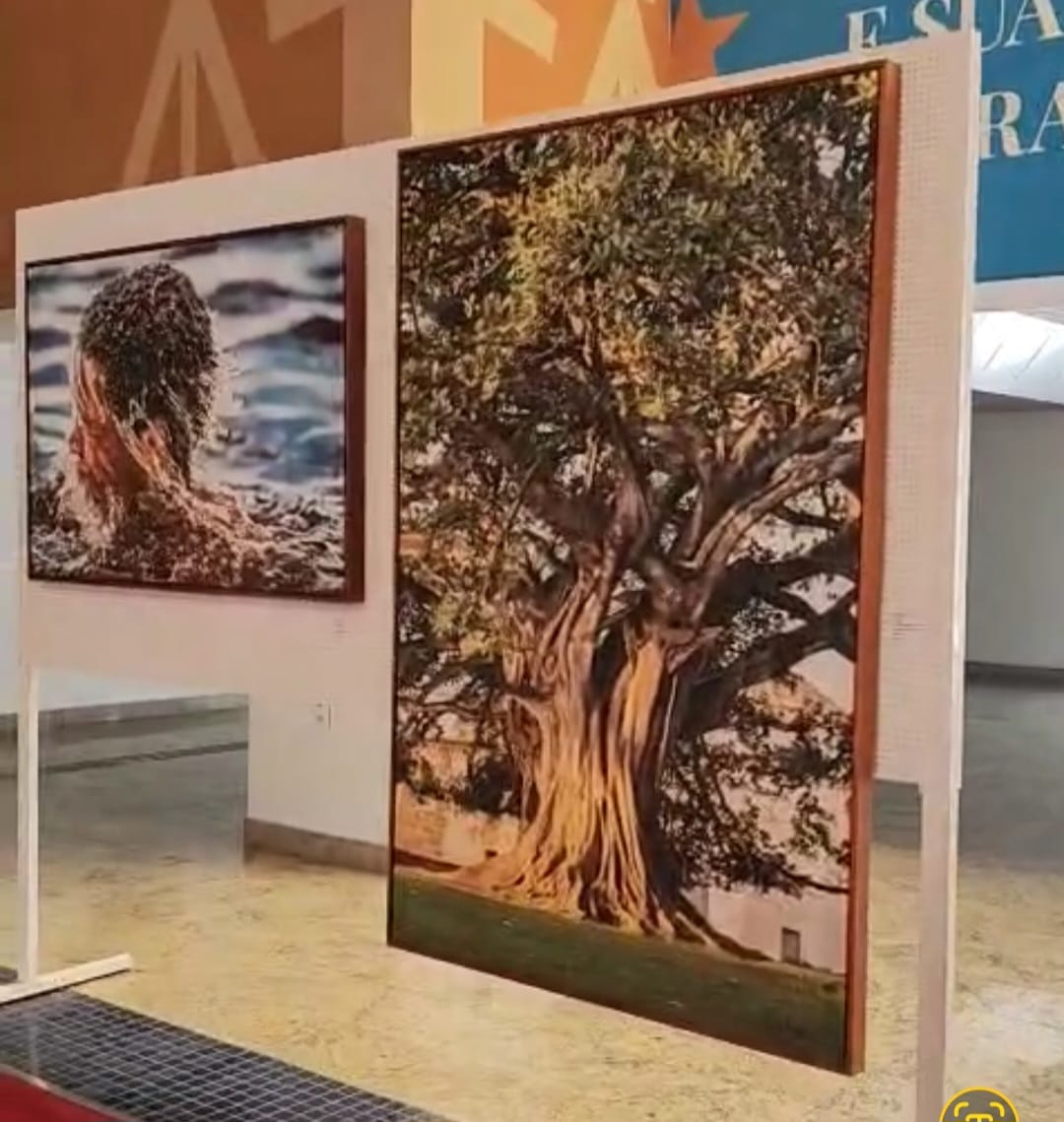 No momento você está vendo Abre hoje exposição “Da semente ao barro: entre a natureza e o fazer artístico”