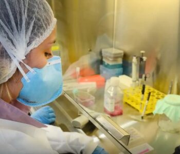 USP: pesquisa de vacina contra zika avança em testes com camundongos