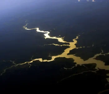 Mudança do clima: Amazônia reúne pesquisadores do Brasil e França