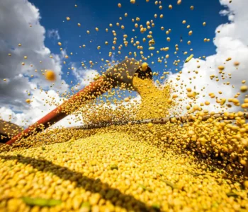 Brasil atinge novo recorde com 350 milhões de toneladas de grãos