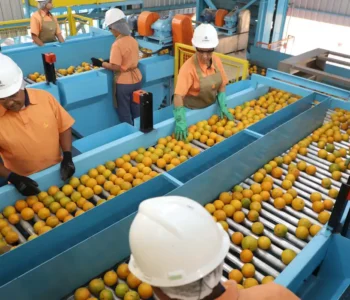 Exportação de produtos atingidos por tarifaço cai 22% em agosto