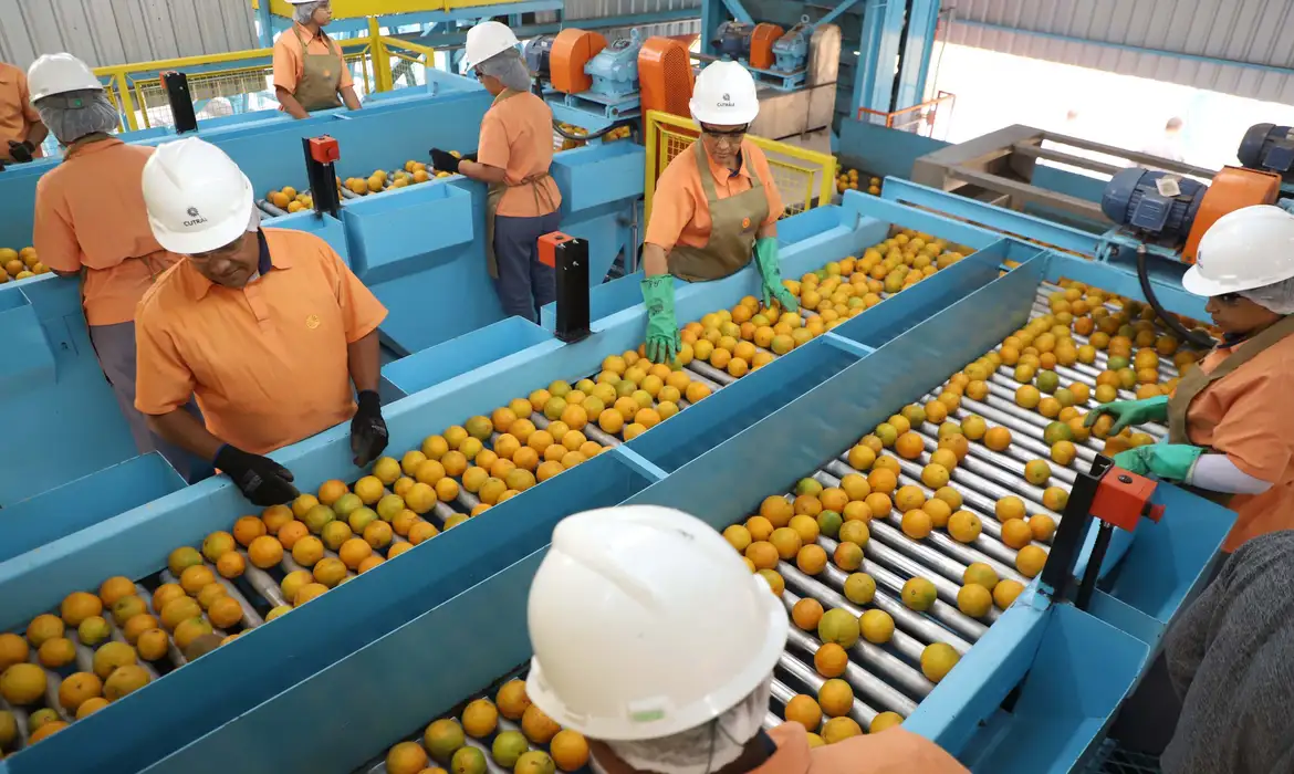 No momento você está vendo Exportação de produtos atingidos por tarifaço cai 22% em agosto