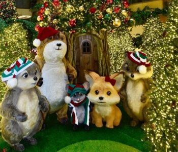 Floresta dos Encantos leva muita magia, brilho e diversão ao Natal do Shopping Barra