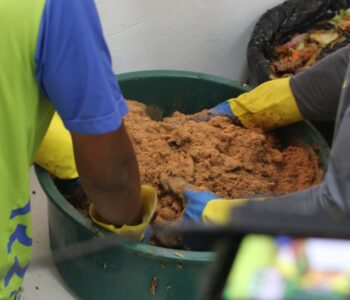 Tecnologia baiana revoluciona compostagem e reduz emissões de carbono