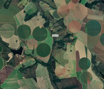 Cerrado brasileiro perdeu 28% da vegetação nativa em 40 anos
