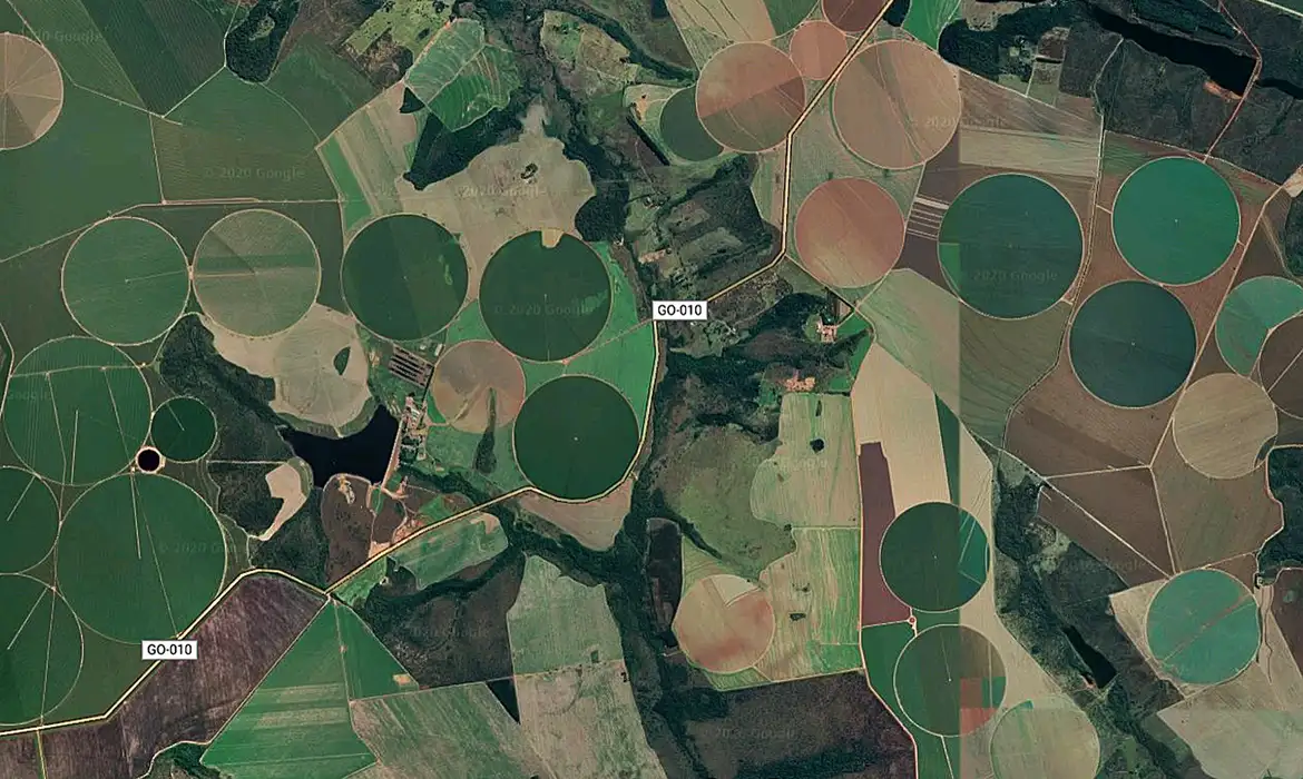 No momento você está vendo Cerrado brasileiro perdeu 28% da vegetação nativa em 40 anos