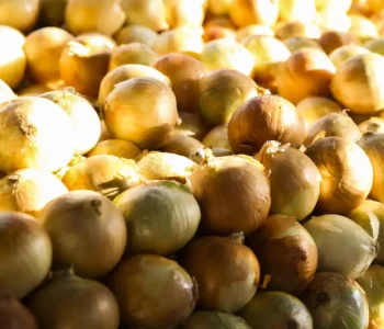 Inflação acumulada dos alimentos é a menor desde setembro de 2024