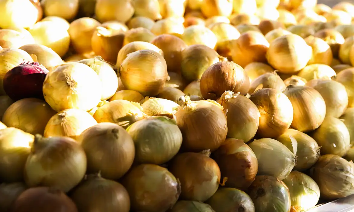 No momento você está vendo Inflação acumulada dos alimentos é a menor desde setembro de 2024