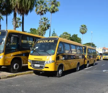 Nova legislação garante repasses para alimentação e transporte escolar