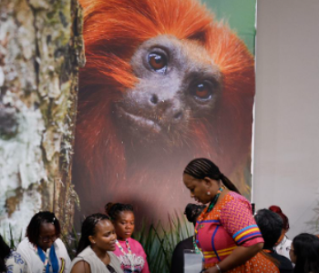 COP30: financiamento, transição e adaptação são centro das negociações