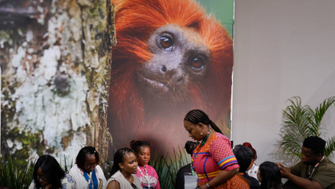 No momento você está vendo COP30: financiamento, transição e adaptação são centro das negociações