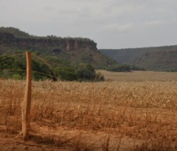 Fronteira Cerrado: acesso desigual ao Estado agrava conflitos agrários