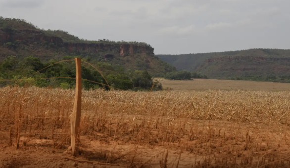 No momento você está vendo Fronteira Cerrado: acesso desigual ao Estado agrava conflitos agrários