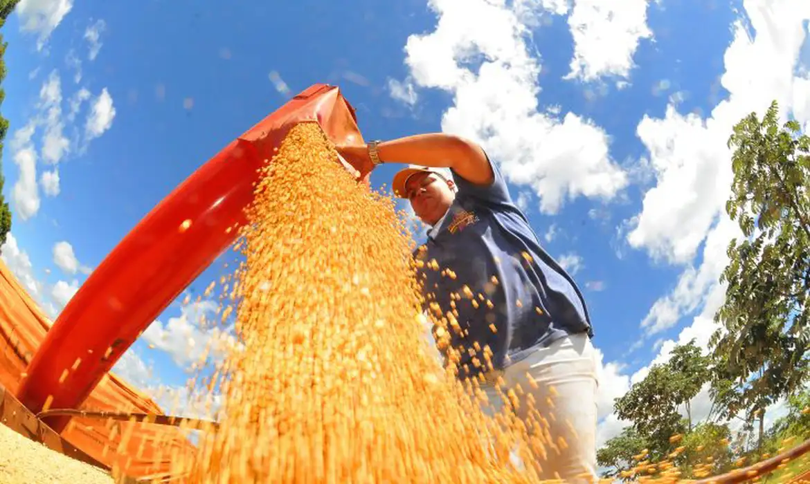 No momento você está vendo Safra deve recuar 3,7% em 2026, depois de um 2025 recorde