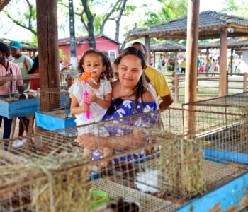 Pavilhão do Governo leva inovação, sustentabilidade e serviços de cidadania na Fenagro 2025