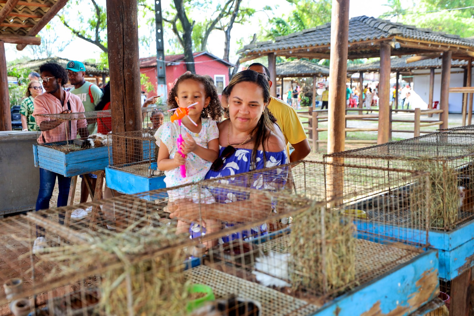 No momento você está vendo Pavilhão do Governo leva inovação, sustentabilidade e serviços de cidadania na Fenagro 2025