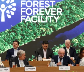 Fundo para florestas tropicais atinge aporte de US$ 5,5 bilhões