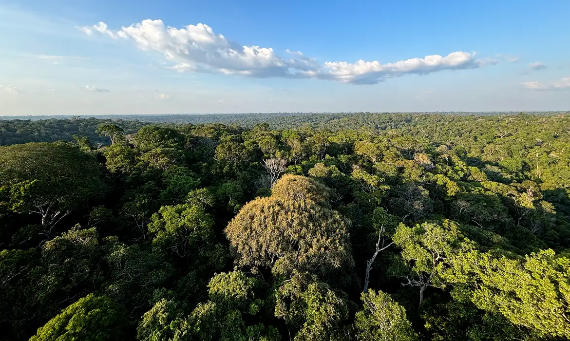 No momento você está vendo COP30: o que é, quando acontece e o que será discutido em Belém