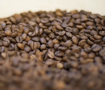 Trump diz que reduzirá tarifas para importação de café