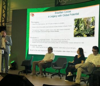 Uesc tem papel de destaque em documento sobre o cultivo sustentável    do cacau apresentado na COP30