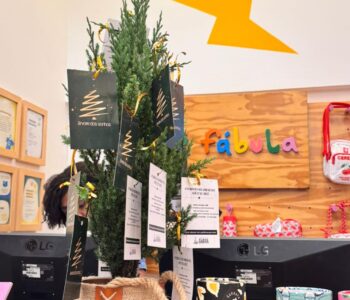Presentes do Árvore dos Sonhos podem ser entregues até sexta-feira (19) no Shopping Barra