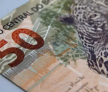 Fundações sem fins lucrativos pagam salários maiores que empresas